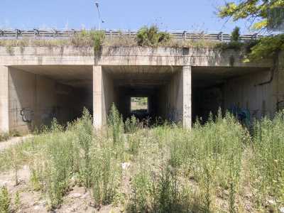 Siamo ora avanti in prossimit� della tangenziale...